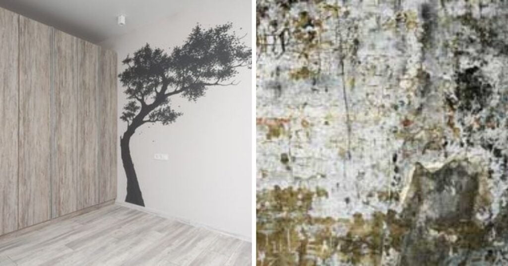 mucegai pe pereți sau pictură pe pereți