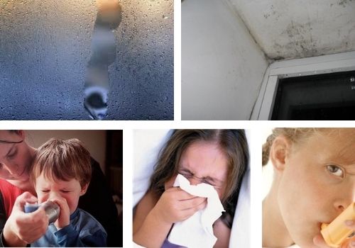 mucegai pe pereti si simptomele alergice la copii
