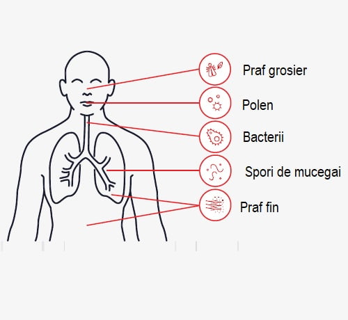 factorii poluanti din interior